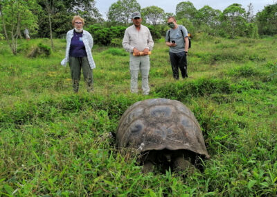 Turyści oglądają wielkiego żółwia na Galapagos, Ekwador